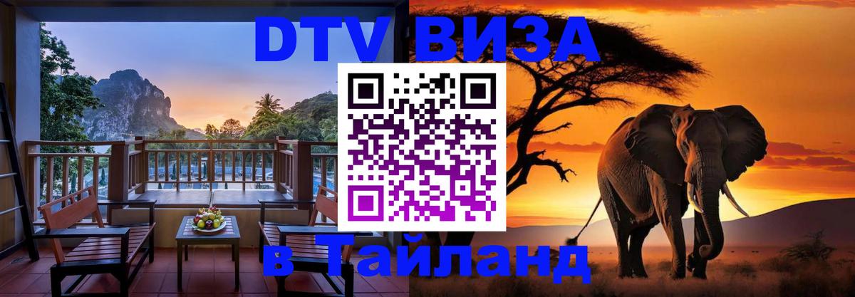 Сколько стоит DTV виза — актуальные цены, оформление даже без документов - 